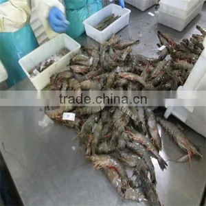 Frozen Mexican Shrimp thumbnail-1