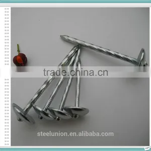 Galvanzied Roofing Nails /umbrella Head Roofing Nails thumbnail-4