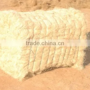 Coconut Fiber thumbnail-2