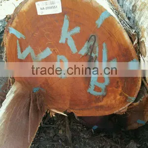Suriname KAW / Kaw Udu Log thumbnail-1