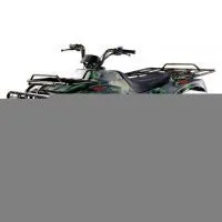 Sell 250cc EPA ATV thumbnail-1