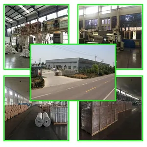 Shandong YiXin Packing Materials Co.,Ltd company overview - view 1 thumbnail
