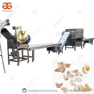 Garlic Peel Remover Commercial Industrial Small Dry Price thumbnail-1