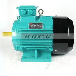 THREE PHASE ELECTRIC MOTOR thumbnail-1