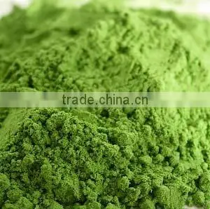 Best Quality Wheat Grass Powder At Your Door Steps thumbnail-2