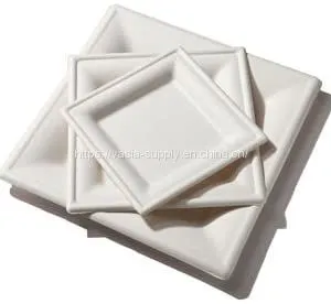 10 Inch Wholeasale Price Eco Friendly Biodegradable Sugarcane Bagasse Square Plate China Supplier thumbnail-3