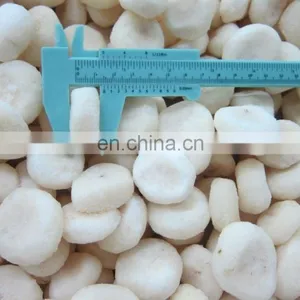 Sinocharm Health and Hygiene, no Insects and no Foreign MatterFrozen Peeled Fresh IQF Water Chestnut thumbnail-5