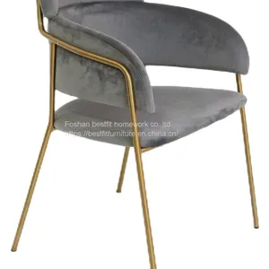 XC218 Whole Sell Price Stainless Steel Dining Chair Modern Design thumbnail-3