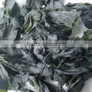 Natural Soup Food Roasted Shredded Dried Kelp thumbnail-1