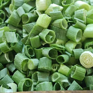 New Harvest Wholesales Freeze Dried Spring Onion thumbnail-1