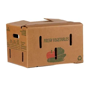 Wholesale Custom Corrugated Board Foldable Produce Boxes for Fresh Vegetables Fruits Seafood Meat Slotted Sweet thumbnail-2