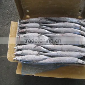 Frozen Fish Pacific Saury Whole Round thumbnail-3