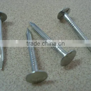 Galvanized Clout Nails Factory thumbnail-3