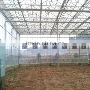 Polycarbonate Hollow Sheet Greenhouse thumbnail-1