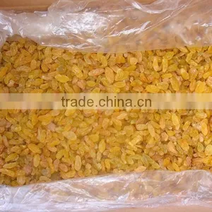 Supply AD Dried Golden Raisins With Large Amount thumbnail-3