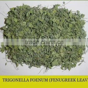 Kasuri Methi Leaves thumbnail-1