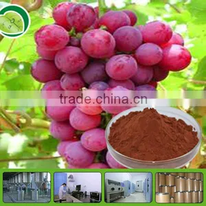 Pure Grape Seed Extract Powder Polyphenols 95% thumbnail-1