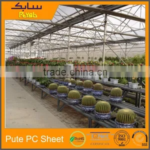 Project Agriculture Green House Roofing Panels Greenhouse Twin-wall Plastic thumbnail-6