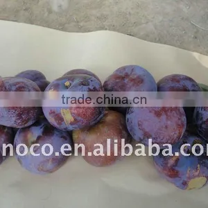 New Crop Fresh Black Plum thumbnail-1