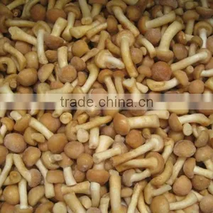Fresh Frozen Pholiota Nameko thumbnail-4