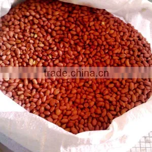 BEST QUALITY PURE FRESH RED PEANUT thumbnail-1