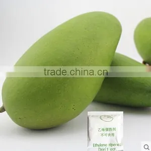 Factory Direct Price the Good Quality Mango Ripener Ethylene 20016 Hot Sale Very Salable thumbnail-1