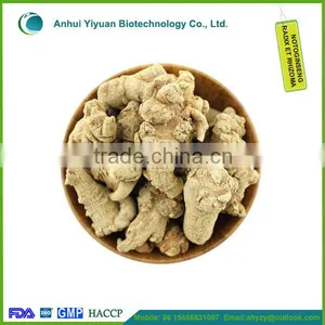 Radix Notoginseng High Worth for Health Notoginseng Radix ET Rhizoma thumbnail-3