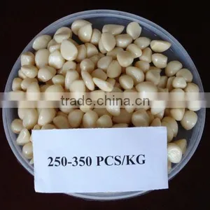 Garlic Segment In Brine thumbnail-1