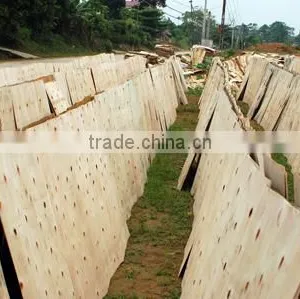 TOP QUALITY SHORT CORE VENEER CHEAP VENEER FOR IMPORTERS thumbnail-2
