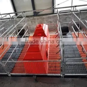 Pig Farming Equipments/sows Obstetric Table thumbnail-1