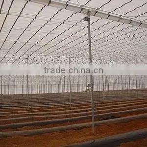 Commercial Greenhouses China thumbnail-6