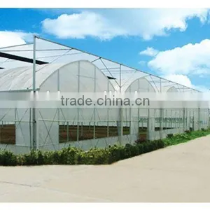 Chengdu BaoLiDa Low Price 20 Micron Polythene Greenhouse pe Film Greenhouse thumbnail-3