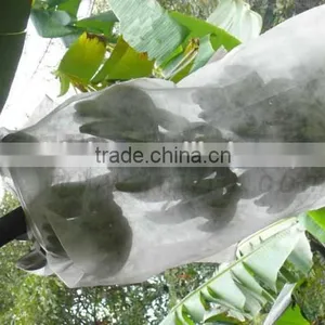 Polypropylene Non-woven Fleece Fabric for Agriculture thumbnail-3