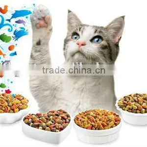 Dry Cat Food Kitten Chicken & Whole Brown Rice Formula thumbnail-2