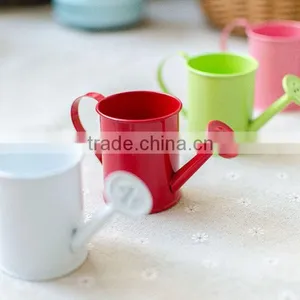 Cheap Small Indoor 2 or 2.5 Inches White Metal Flower Watering Can Mini Planter for Succulents thumbnail-3