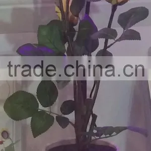 3w Desktop LED Grow Light for Indoor Flower Pot thumbnail-3
