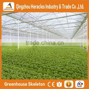Heracles Trade Assurance Multi-span Greenhouse for Sale thumbnail-3