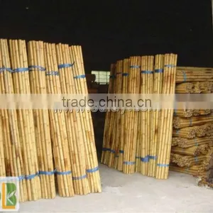 Different Sizes Tonkin Bamboo Stakes/poles/canes for Agriculture thumbnail-1
