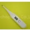 Single Button Hardhead Digital Pen Thermometer With High Precise thumbnail-1
