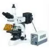 Excellent Upright Fluorescent Microscope With High Resolution Fluorescent Objectives thumbnail-1