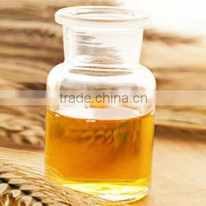 Wheat Germ Oil Capsules for Bulk Sales thumbnail-1
