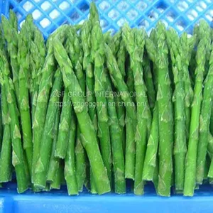 IQF Frozen Green Asparagus Whole thumbnail-1