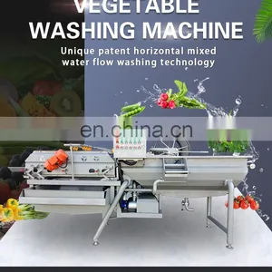 Full Automatic Frozen Vegetable and Fruit Washing Line Broccoli Processing Machine Frozen Fruit Processing Line Machinery thumbnail-3