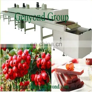 Fruit Leather/Fruit Bar Production Line thumbnail-3