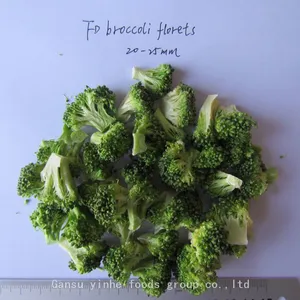 Factory's Best Selling Freeze Dried Broccoli thumbnail-3