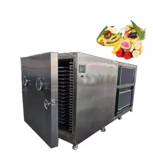 Industrial Commercial Lemon Freeze Dryer for Fruit and Vegetable on Sale Lemon Freeze Dryer thumbnail-6