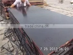 Czech Market Film Faced Plywood thumbnail-3