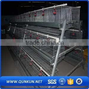 Egg Production Project Poultry Farming Equipment A Type Design Layer Chicken Cage for Sale thumbnail-2