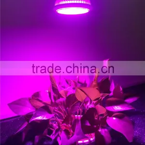 Full Spectrum Hydroponic Grow Light COB 21W Plant Led Grow Light thumbnail-5