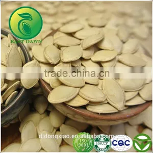 Shine Skin Pumpkin Seeds Wholesale Raw Material thumbnail-5